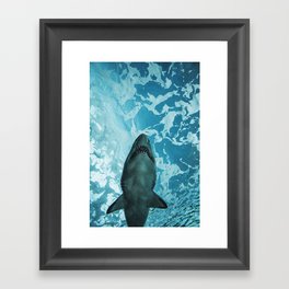 Shark Photography | Deep Sea | Ocean Art | Wildlife | Nature | Fish Framed Art Print