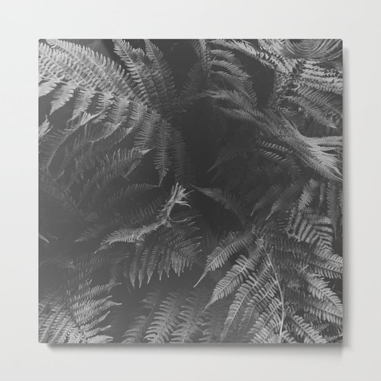 Colorless Fern Metal Print