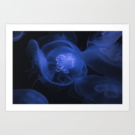 Jelly fish Art Print