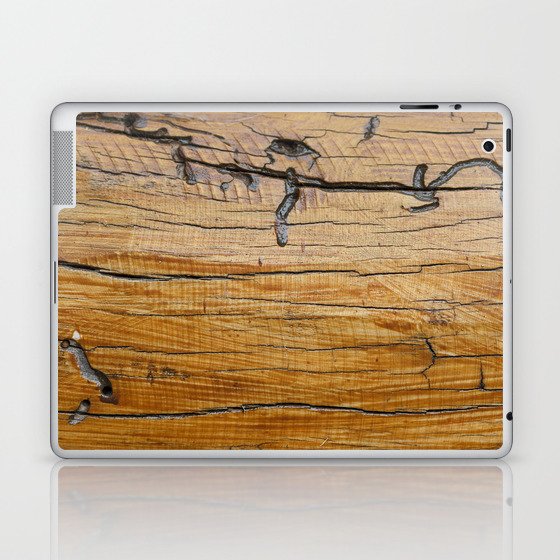 Natural wood background, wood slice and organic texture Laptop & iPad Skin