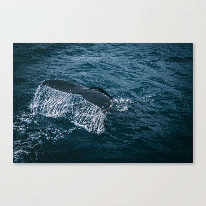 Whale Tail Emerging from the Ocean Canvas Print