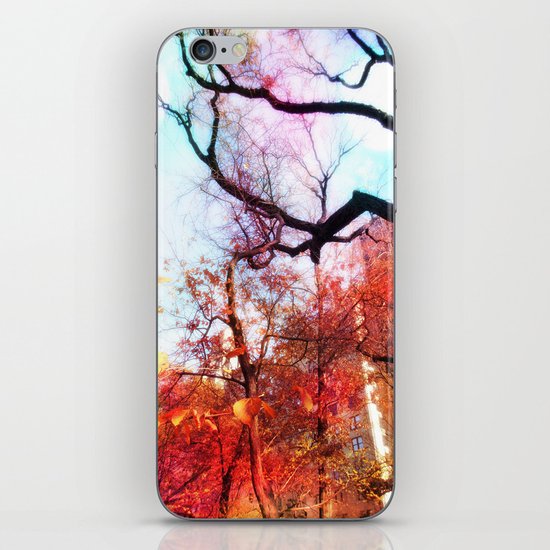 Color Blocked iPhone & iPod Skin