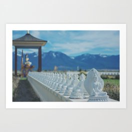 1000 Buddha Statues Art Print