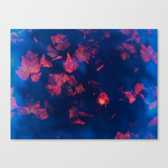 Rusty red falling leaves in dark blue water Canvas Print