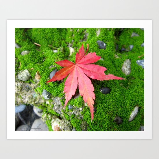 Leaf Zen Art Print