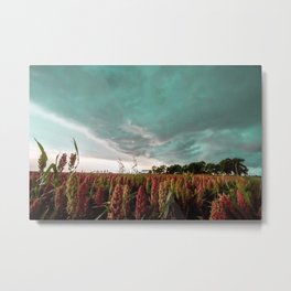 In the Maize - Storm Advances Over Farm in Oklahoma Metal Print
