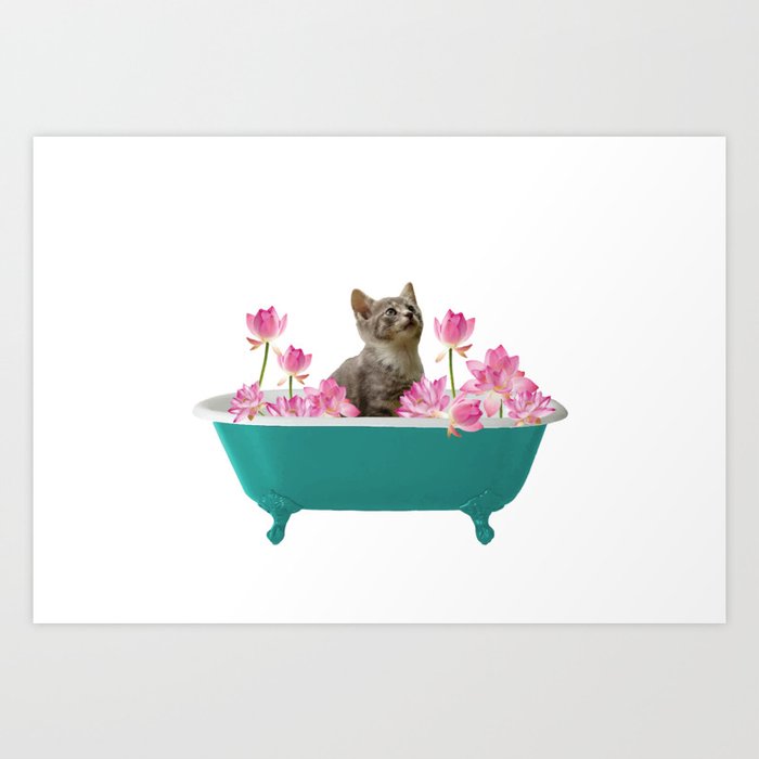 Grey Kitten Cat Turquoise Bathtub, Cat In A Bathtub Print