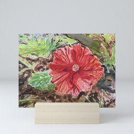 Hibiscus Mini Art Print