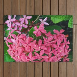 Mexico Photography - Pink Flowers Surrounded By Leaves Outdoor Rug
