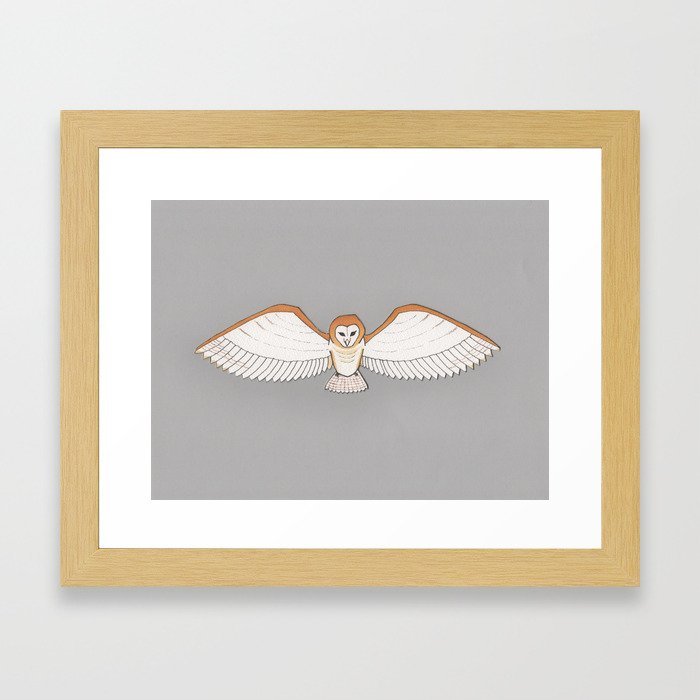 Barn Owl in Grey Framed Art Print