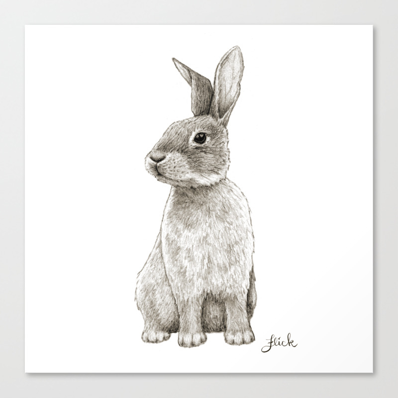Rabbit Artwork - - Rabbit Artwork -
