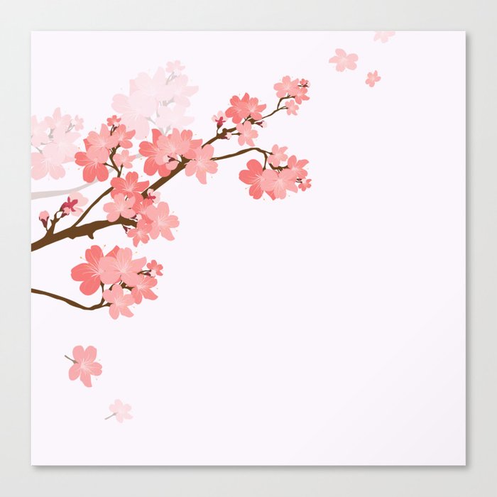 Blooming cherry tree Canvas Print