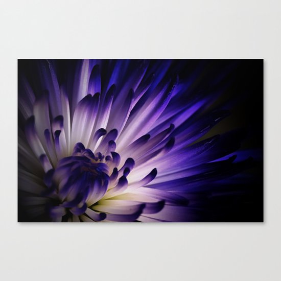 On The Dark Side Canvas Print