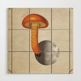 Mushroom Moon Wood Wall Art