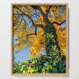 Autumn Tree Serving Tray