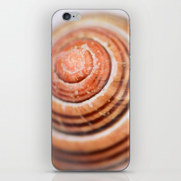 Snail Shell iPhone Skin