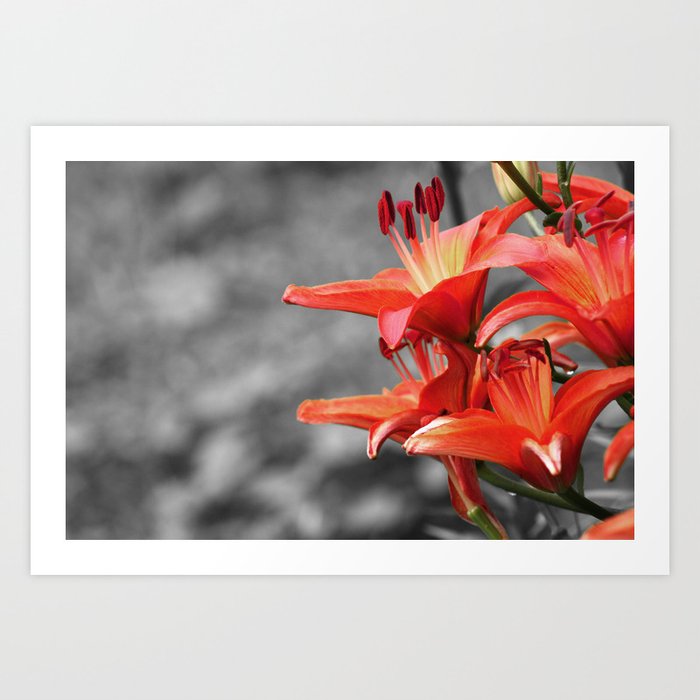 Orange Lilies Digital Print Printable Floral Art