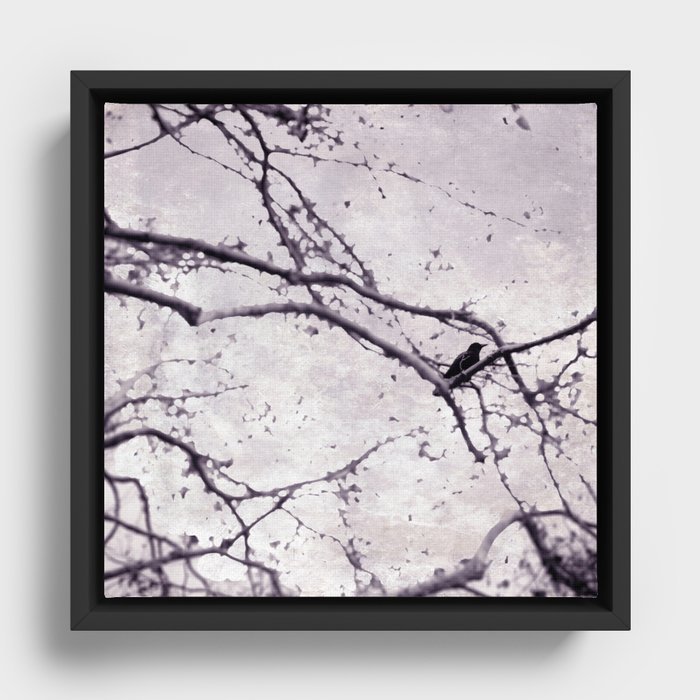Winter Crow Framed Canvas