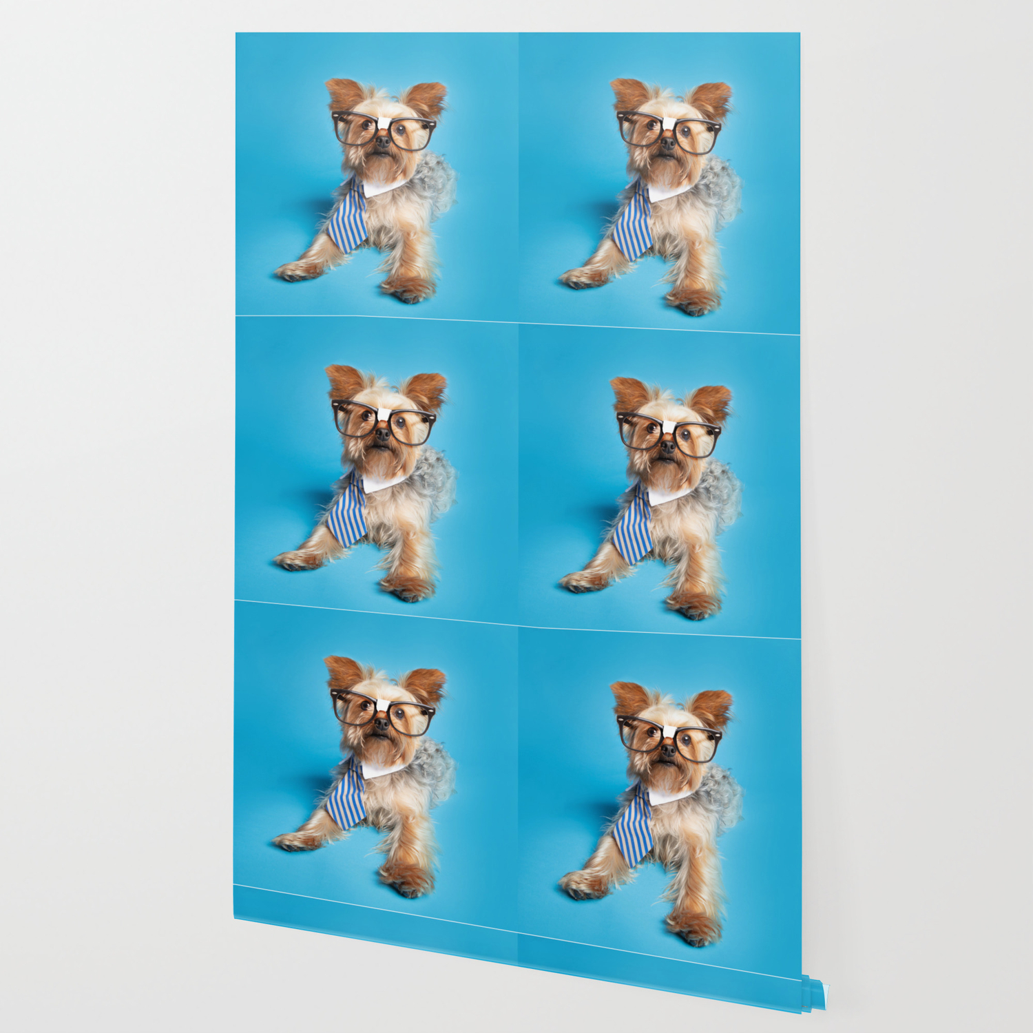 Smart Yorkie Wallpaper By Sdominick Society6