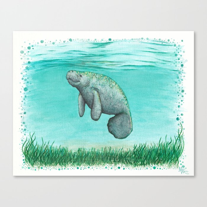 "Mossy Manatee" by Amber Marine ~ Watercolor & Ink Painting, (Copyright 2016) Canvas Print