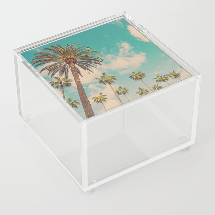 LA Palm Trees | Beverly Hills Acrylic Box