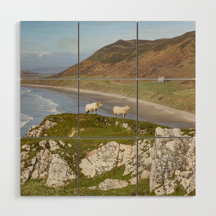 Rhossili Sheep Wood Wall Art