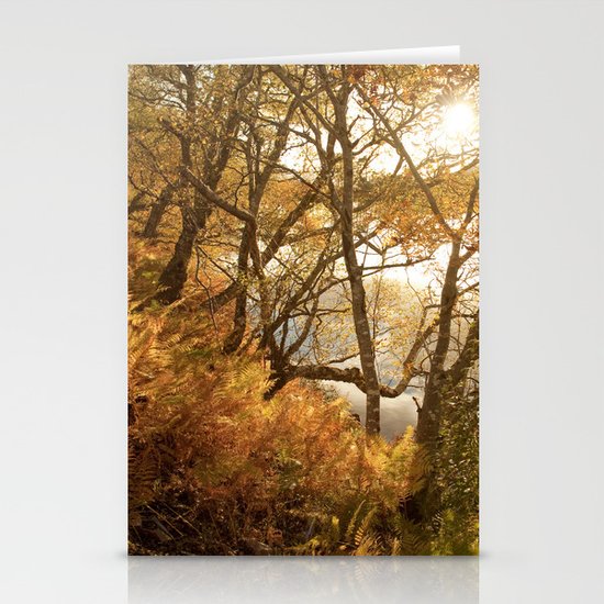 November falls Stationery Cards