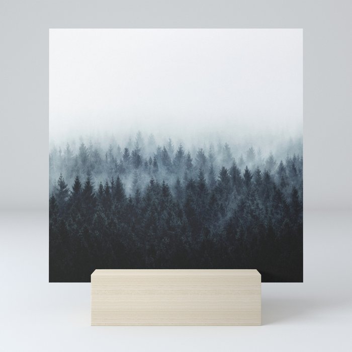High And Low // Misty Fairytale Wilderness Forest With Cascadia Trees Covered In Magic Fog Series Mini Art Print