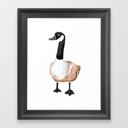 Canadian Goose Framed Art Print