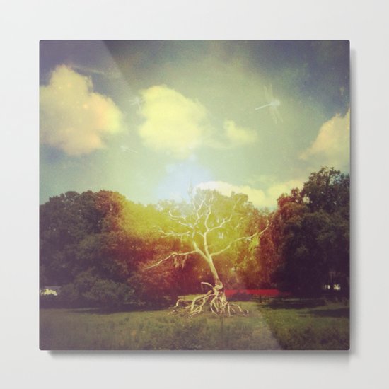 Burning Bush Metal Print