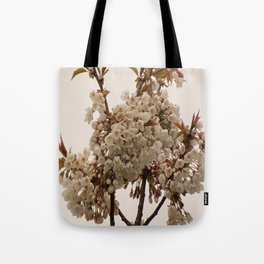 Scottish Highlands White Cherry Blossoms with a Pale Sky Background Tote Bag