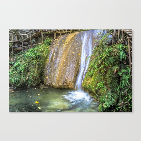 Autumn waterfall Canvas Print