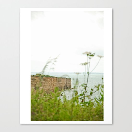 Another Point of View Canvas Print