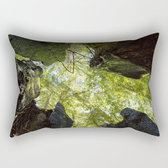 Looking at the Trees Above Rectangular Pillow