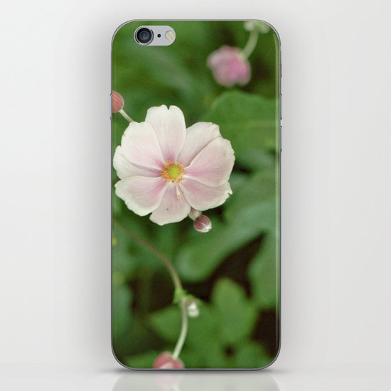 Flower iPhone & iPod Skin