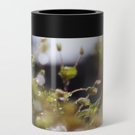 Spring mornings by Denise Dietrich Can Cooler