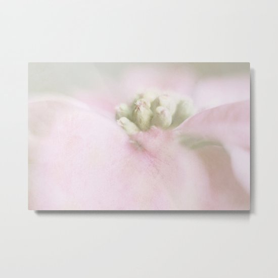 Christmas Flower Metal Print