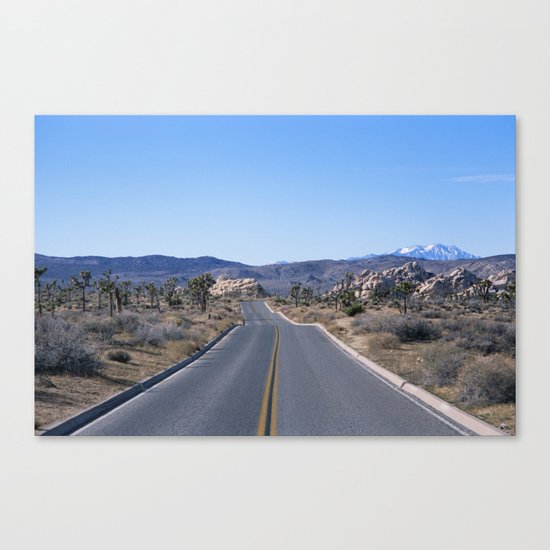 this road is my road Canvas Print