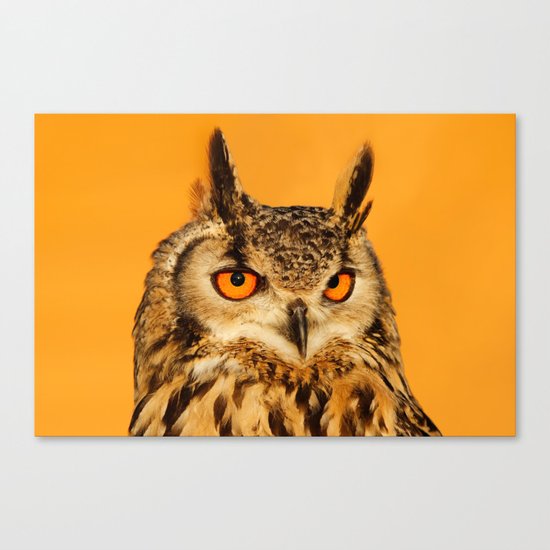 Bubo bubo Canvas Print
