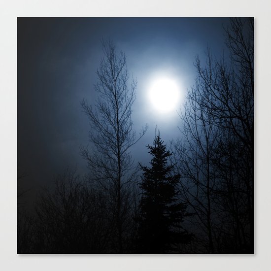 Twilight Canvas Print