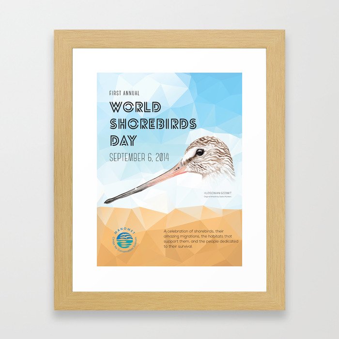 World Shorebird Day Poster-Hudsonian Godwit 2 Framed Art Print