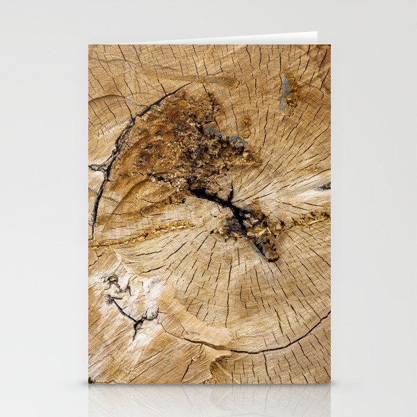 Detail of year rings in worn out tree trunk close-up, weathered and torn Stationery Cards