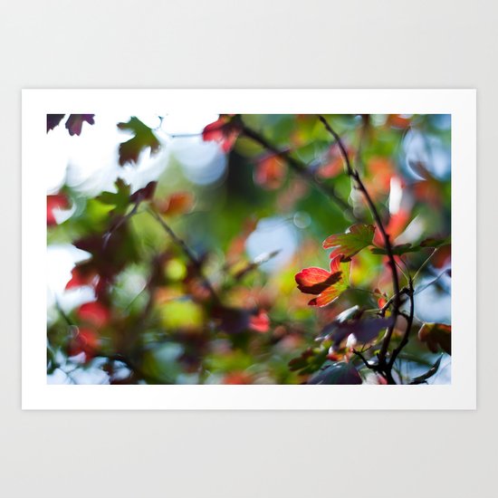 Autumn Rainbow Art Print
