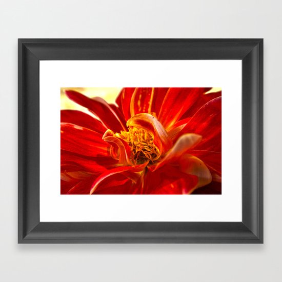Dahlia 2 Framed Art Print
