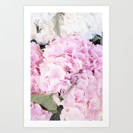 France Provence, peonies Art Print | France, Ilesurlasorge, Rustic, Europe, Town, Pastel, Coral, Travel, Summer, Architecture 