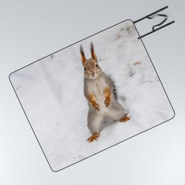 Do you have any boots for squirrels? Picnic Blanket