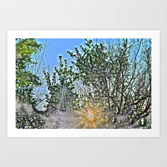 Pure Morning II Art Print