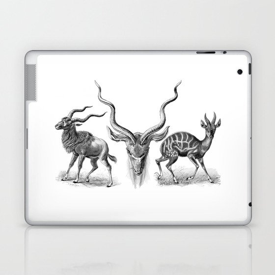 Ernst Haeckel's Antilopinae Laptop & iPad Skin