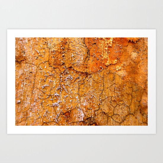 Decay 3 Art Print