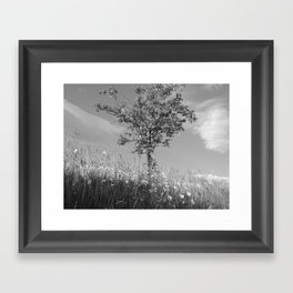 Summer Rowan Tree in Rough Monochrome Framed Art Print